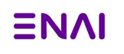 ENEI_Logo_175