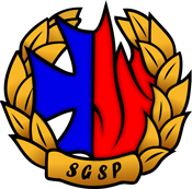 SGSP_NON_PUBLIC_sgsp_biale_logotyp_175